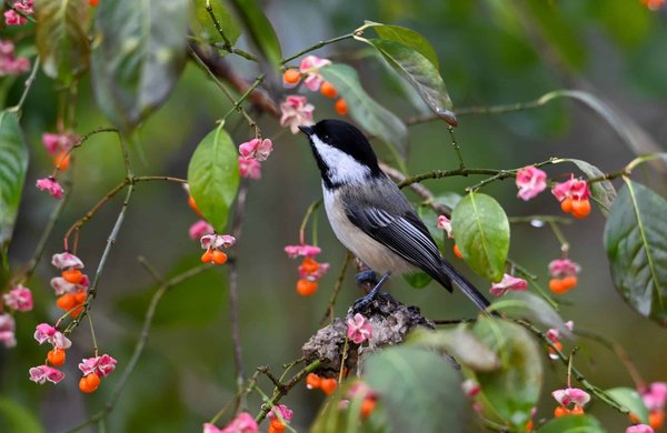 Home weather stations: monitoring your environment